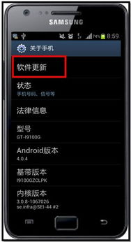 当国际厂商工程师也束手无策 软件世界的复杂性与本土化困境